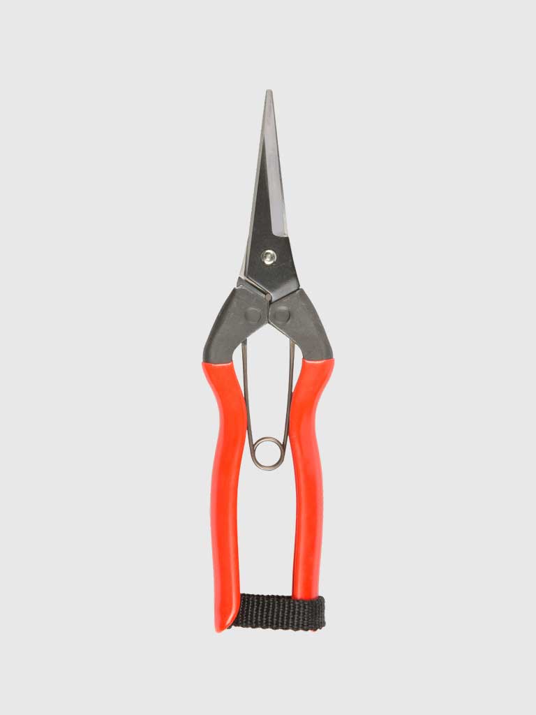 Niwaki Garden Snips