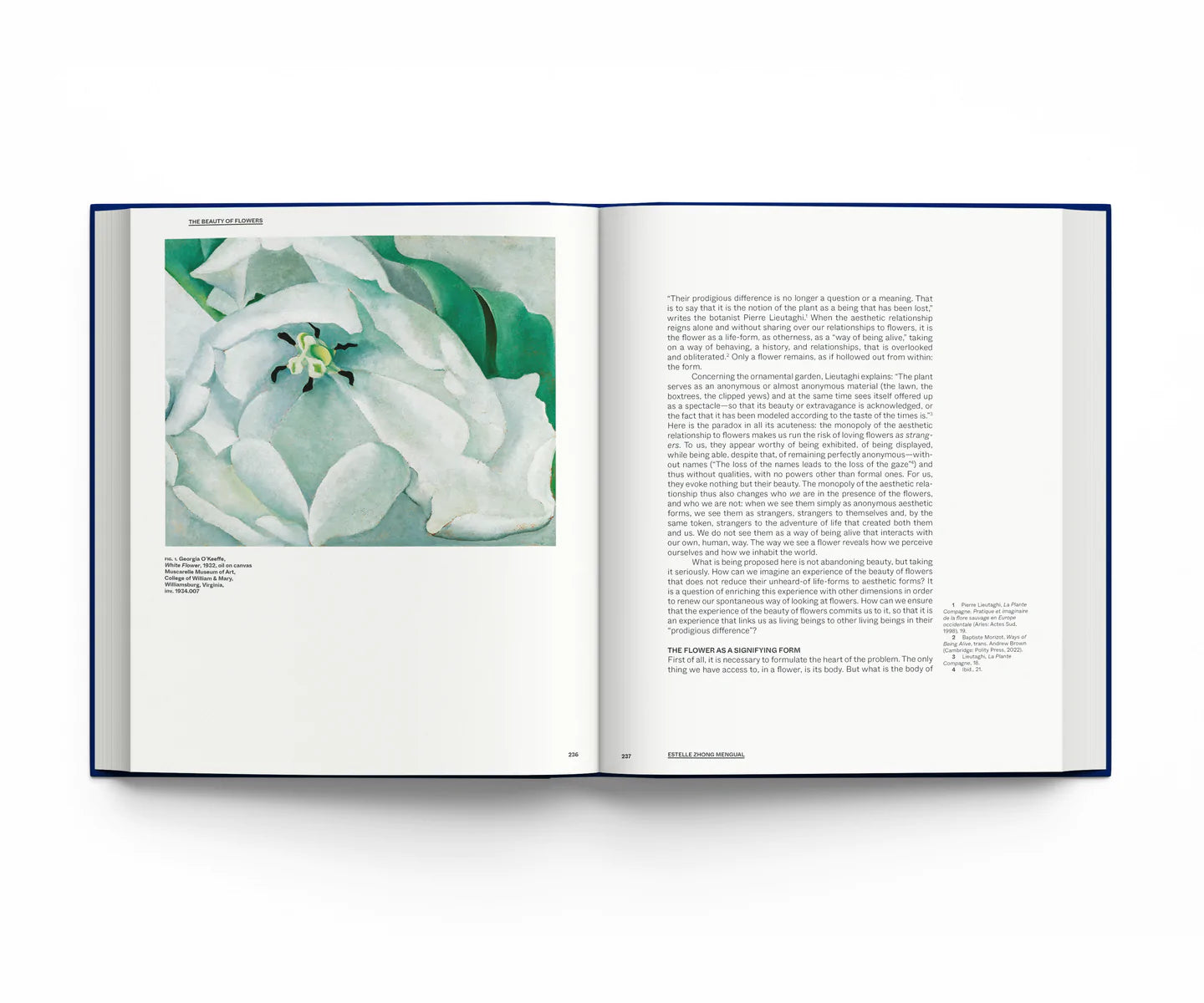 Botanical: Observing Beauty