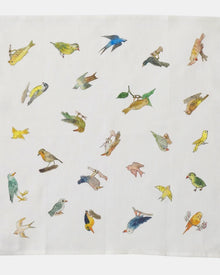Birds Bandana / Handkerchief