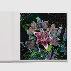Lucas Samaras: Flowers