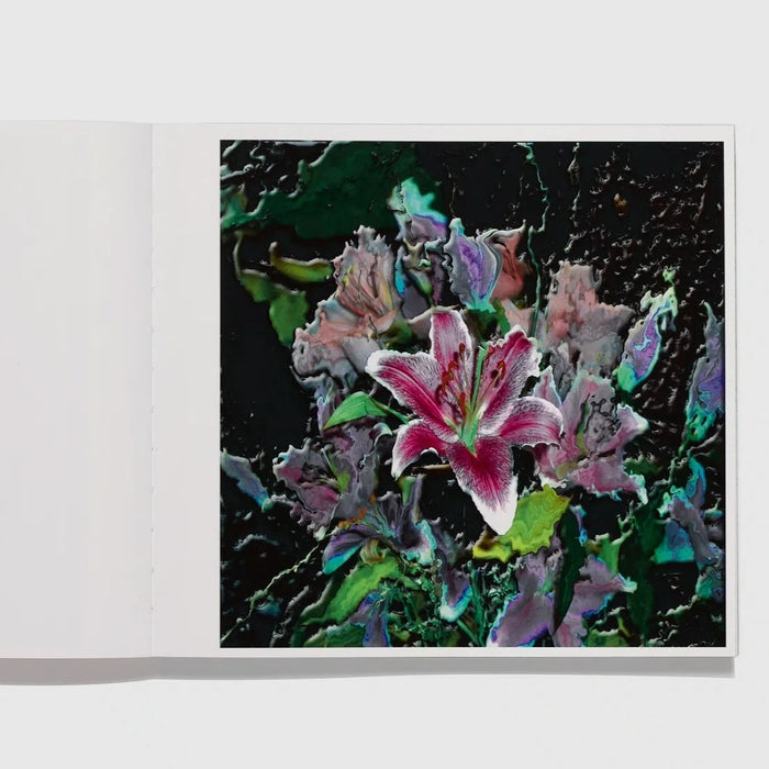 Lucas Samaras: Flowers