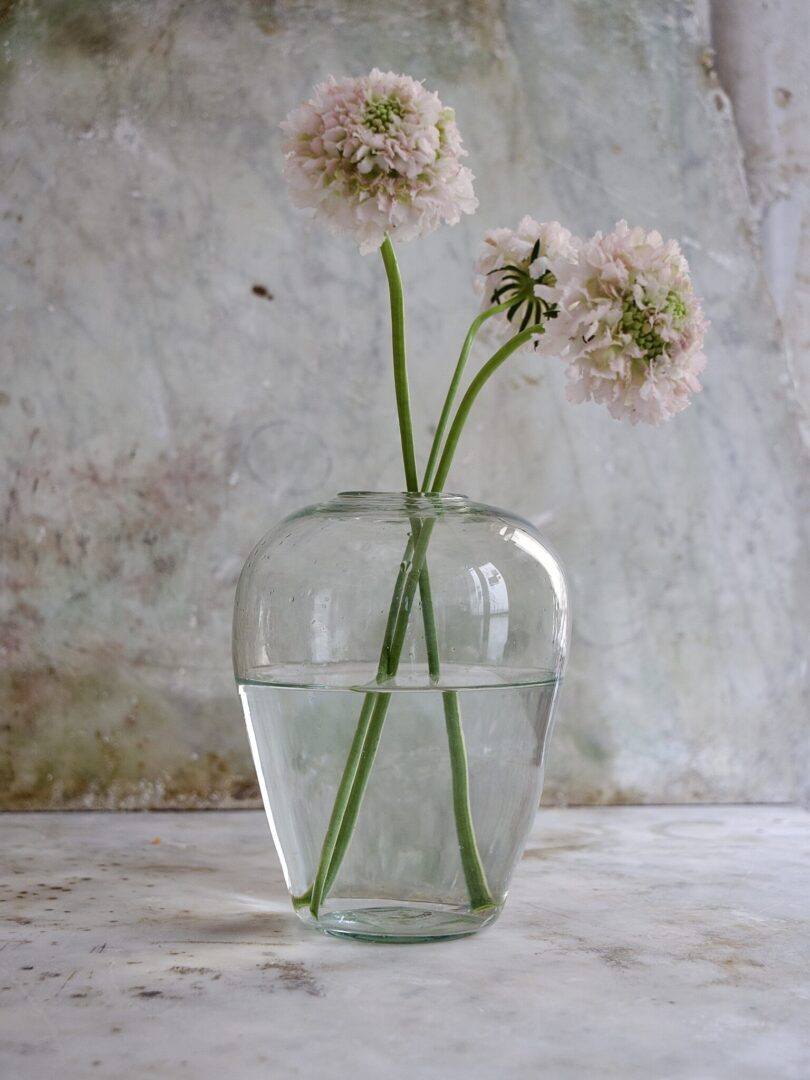 Big Yoshi Vase