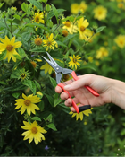 Niwaki Garden Snips