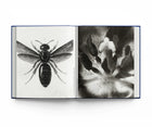 Botanical: Observing Beauty