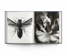 Botanical: Observing Beauty